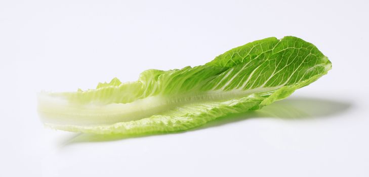 Leaf of fresh Romaine lettuce 