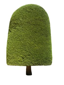 Topiary tree isolated over white background