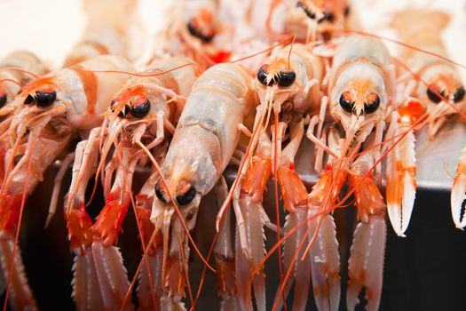 Fresh crawfish on ice in a market