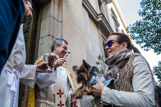 SPAIN, Madrid: A woman holds her dog while it is being blessed by a priest outside the church of San Antón in Calle de Hortaleza in Madrid on Saint Anthony's day, the patron saint of animals, on January 17, 2016.