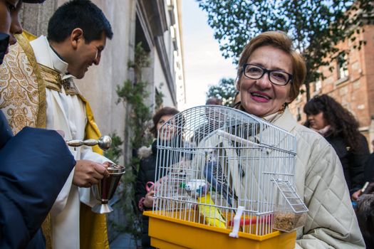 SPAIN, Madrid: A woman holds the cage of her pet bird after it was blessed by a priest outside the church of San Antón in Calle de Hortaleza in Madrid on Saint Anthony's day, the patron saint of animals, on January 17, 2016.