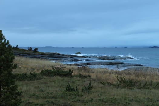 Arctic landscape