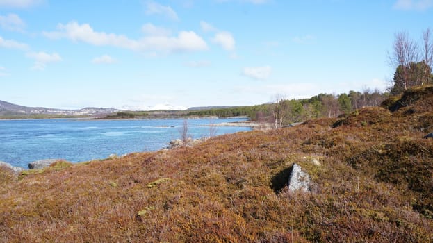 Arctic landscape Nordland