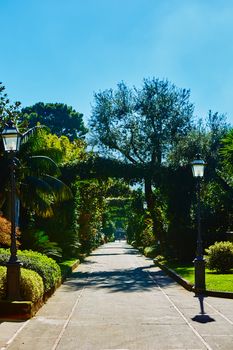 View of Green park in city at summer day