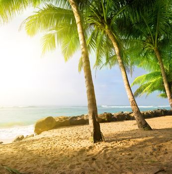 Sunrise on a sandy beach near the ocean in Gala