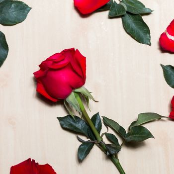 Valentines Day of Red rose on wooden background