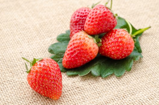 Strawberries with leaves on sacking background.