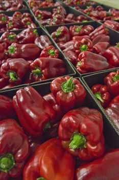 Beautiful organic peppers boxed and ready to go to market