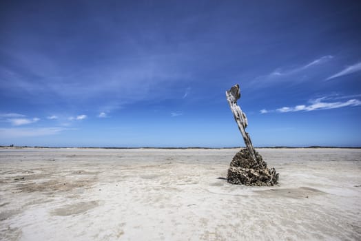 Old driftwood marker standing in pristine white sand at low tide