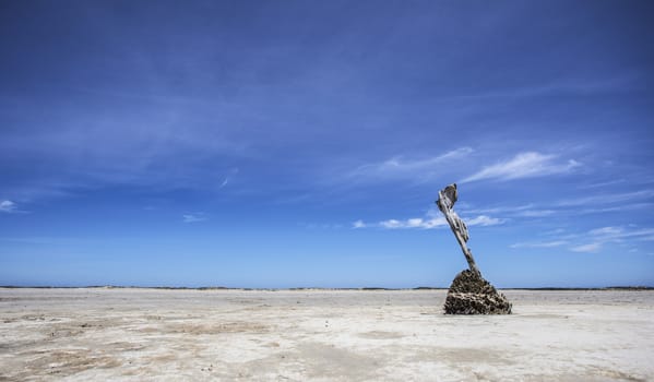 Old driftwood marker standing in pristine white sand at low tide