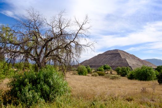 Landscape view at Teotihuacan with trees and Pyramid of the Sun, near Mexico city, Mexico