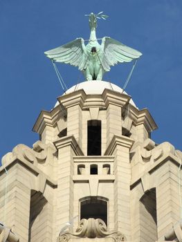 The liver bird on top of the liver building liverpool