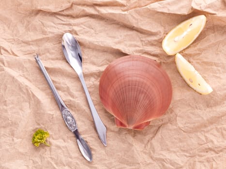 Raw queen scallops with lemon slice ,fork and spoon preparing for grill top view composition.