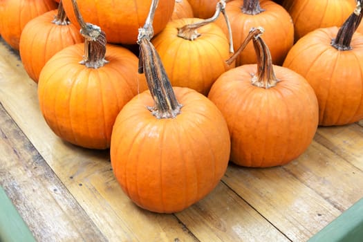 Pumpkin Orange Color in tray wooden