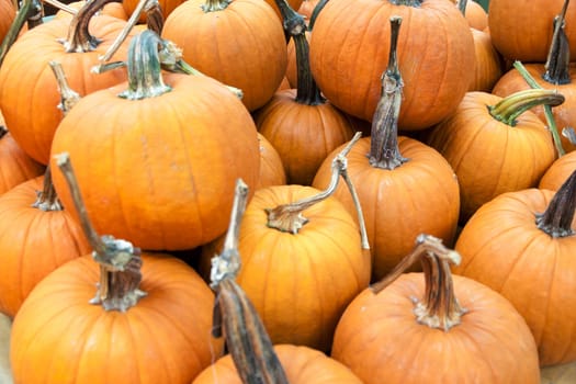 Pumpkin Orange Color in tray wooden