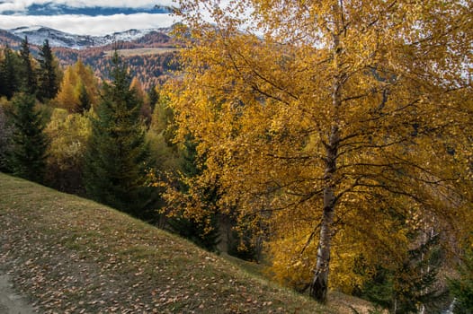 pila,val d'aoste,italy