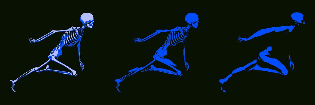 3D Concept of Human Male Body and Skeleton Running