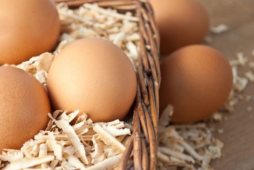 Egg on sawdust with old basket over on wooden background 