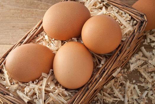 Egg on sawdust with old basket over on wooden background 