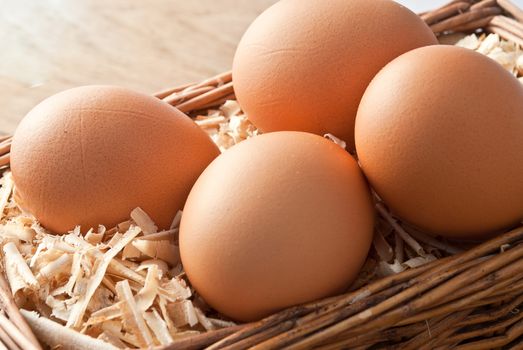 Egg on sawdust with old basket over on wooden background 