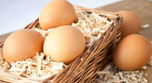 Egg on sawdust with old basket over on wooden background