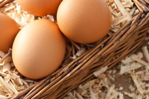 Egg on sawdust with old basket over on wooden background