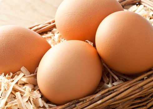 Egg on sawdust with old basket over on wooden background