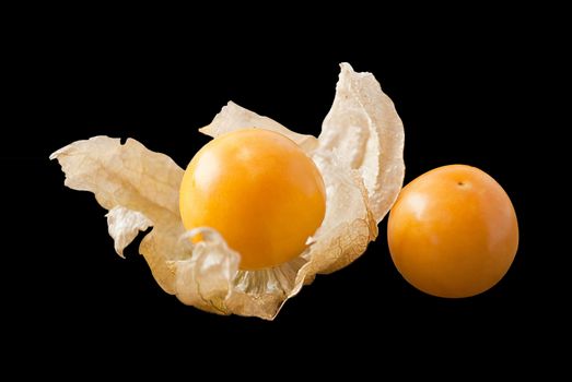 Cape gooseberry (physalis) isolated on black background