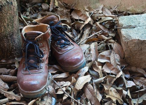 Vintage leather shoes in autumn forest, still lift