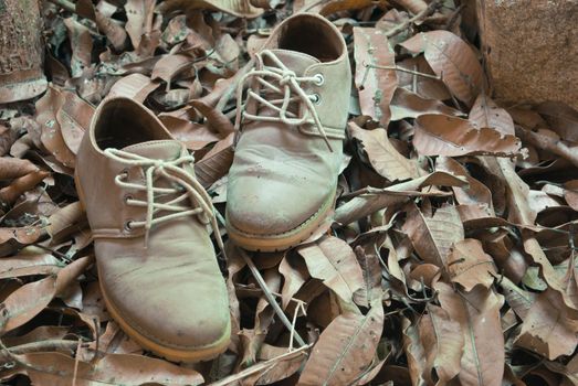 Vintage leather shoes in autumn forest