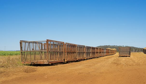 Australian rural scene countryside with cane train carriages on a sugarcane plantation