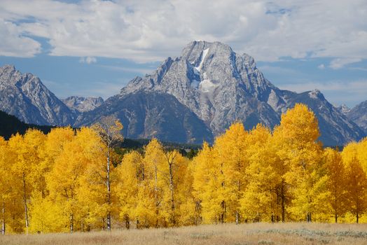 autumn in grand teton national park