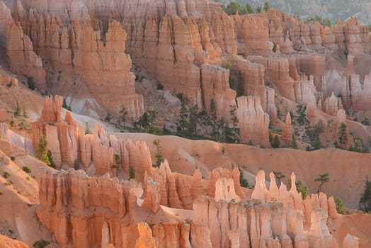 bryce canyon hoodoo at sunrise