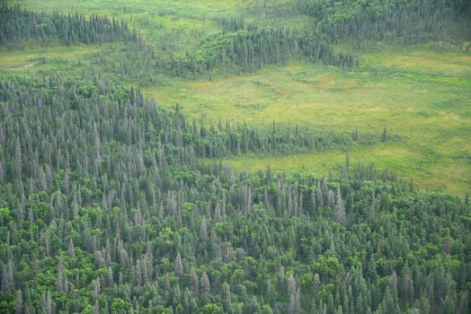 an aerial view of alaska wetland in katmai national park near king salmon