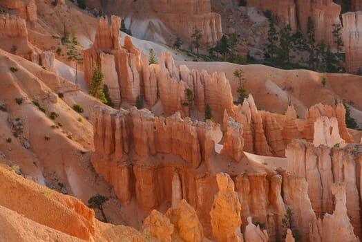 bryce canyon hoodoo at sunrise