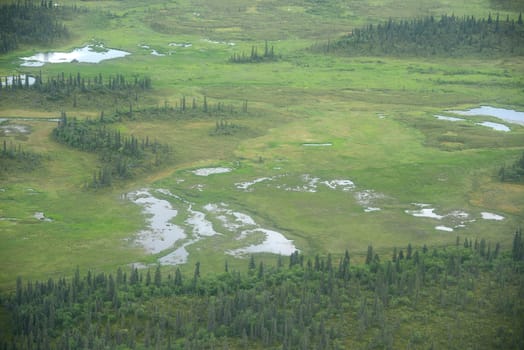an aerial view of alaska wetland in katmai national park near king salmon