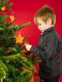 Photo of a young boy hanging decorations on a Christmas tree.