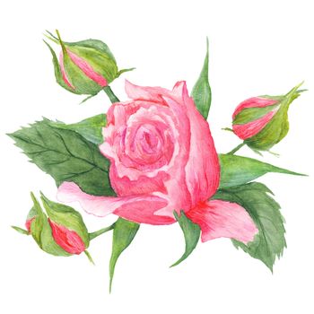 Hand-painted romantic watercolor painting with pink flowers and green leaves