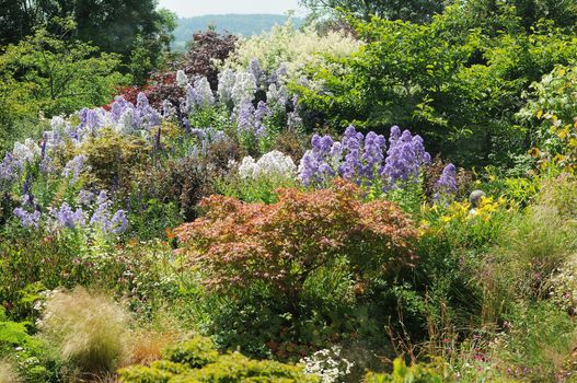 Garden scene resonant of such a sight all over the world where people sculpt,design and tend thier little piece of heaven