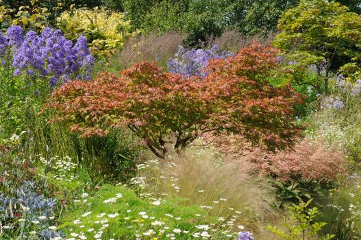 Garden scene resonant of such a sight all over the world where people sculpt,design and tend thier little piece of heaven