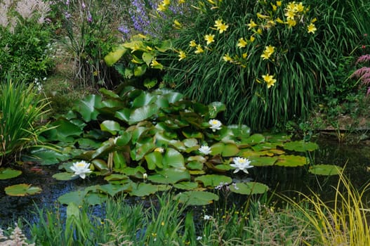 Garden scene resonant of such a sight all over the world where people sculpt,design and tend thier little piece of heaven