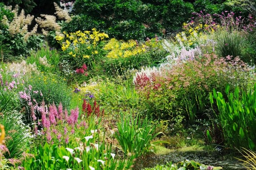 Garden scene resonant of such a sight all over the world where people sculpt,design and tend thier little piece of heaven