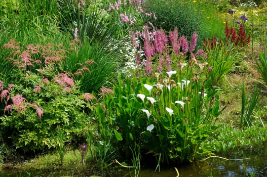 Garden scene resonant of such a sight all over the world where people sculpt,design and tend thier little piece of heaven