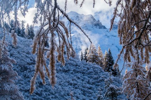 pecleret,chamonix,haute savoie,france