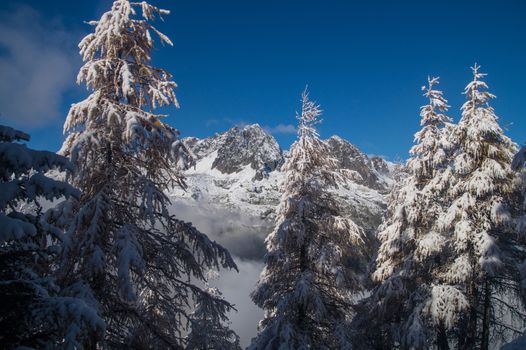 pecleret,chamonix,haute savoie,france