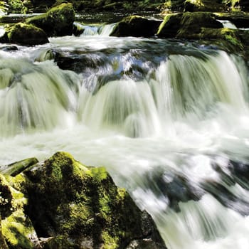 White water in the gorge.