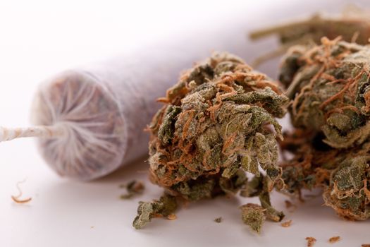 Close up of dried marijuana leaves and tied end of marijuana joint with translucent rolling paper on white background