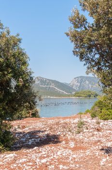 View of the Mali Ston town in Croatia with the world known Ston walls