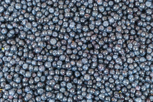 Background made of fresh, ripe, sweet blueberries