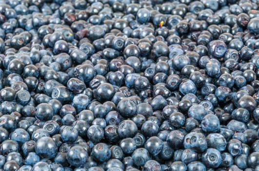 Background made of fresh, ripe, sweet blueberries